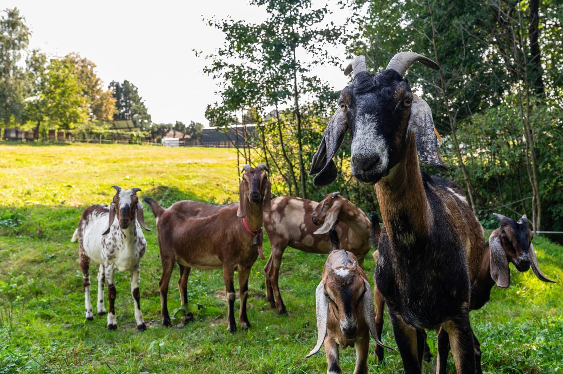 Orzechowa Ostoja Noclegi Energylandia Bachowice Экстерьер фото